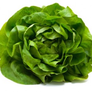 Tower Talk: Growing Our Own, with Tim Blank | Dr. Mitra Ray