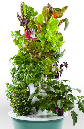 Q and A: The Tower Garden™ | Dr. Mitra Ray